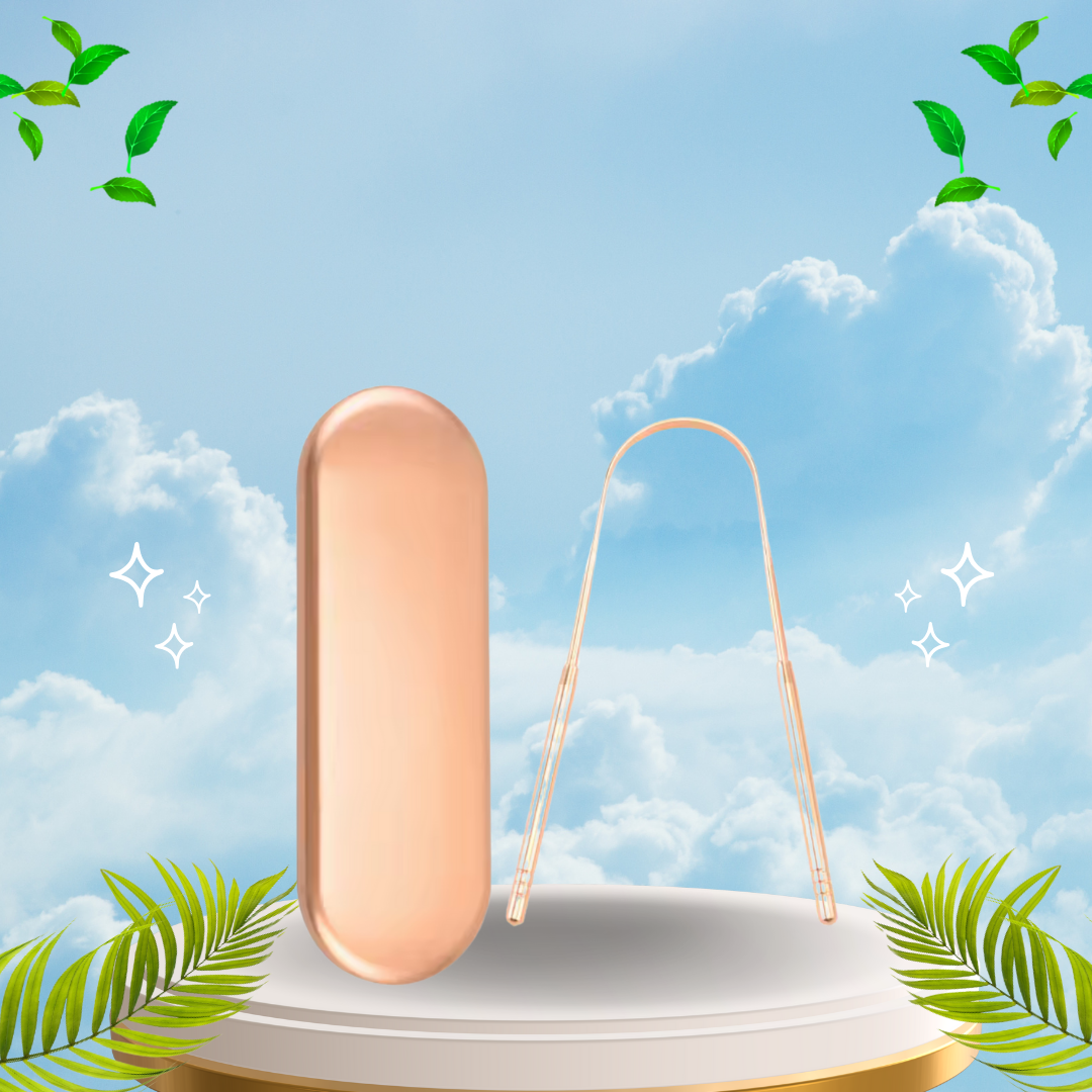 מבריש (מנקה) לשון מקצועי