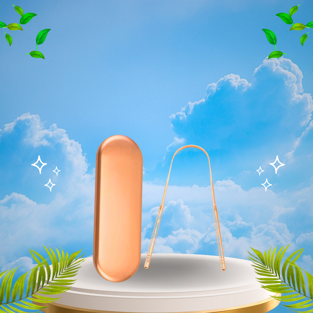 מבריש (מנקה) לשון מקצועי